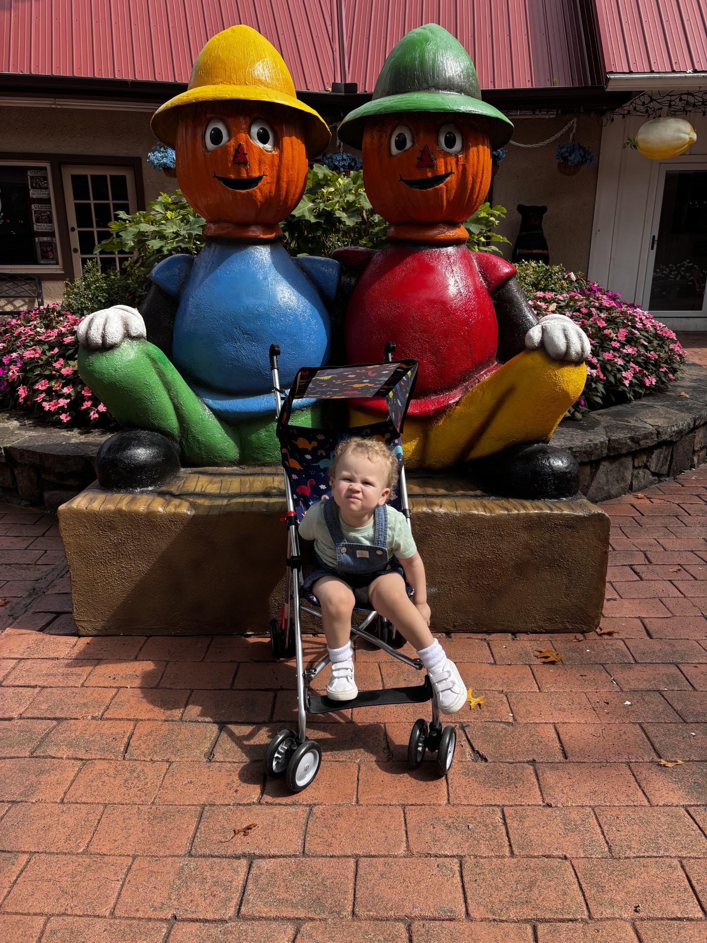Tennessee photo 1